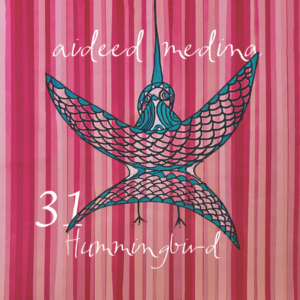 Cover of 31 Hummingbird, new publication by Aideed Medina